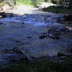 IMG_2378 (2)