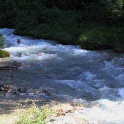 IMG_2384 (2)
