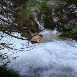 IMG_2392 (2)