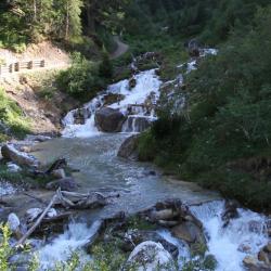 IMG_2396 (2)