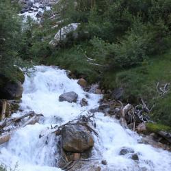 IMG_2400 (2)