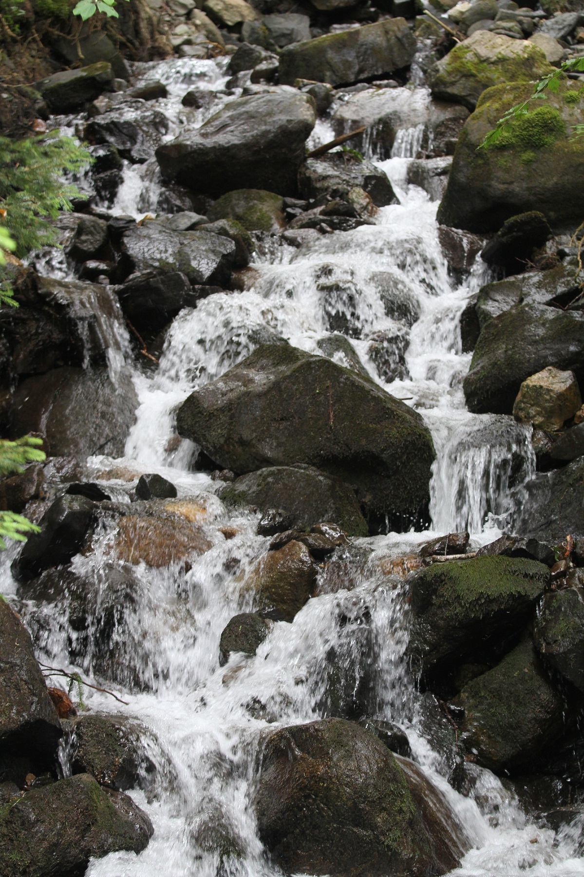 Eau petillante