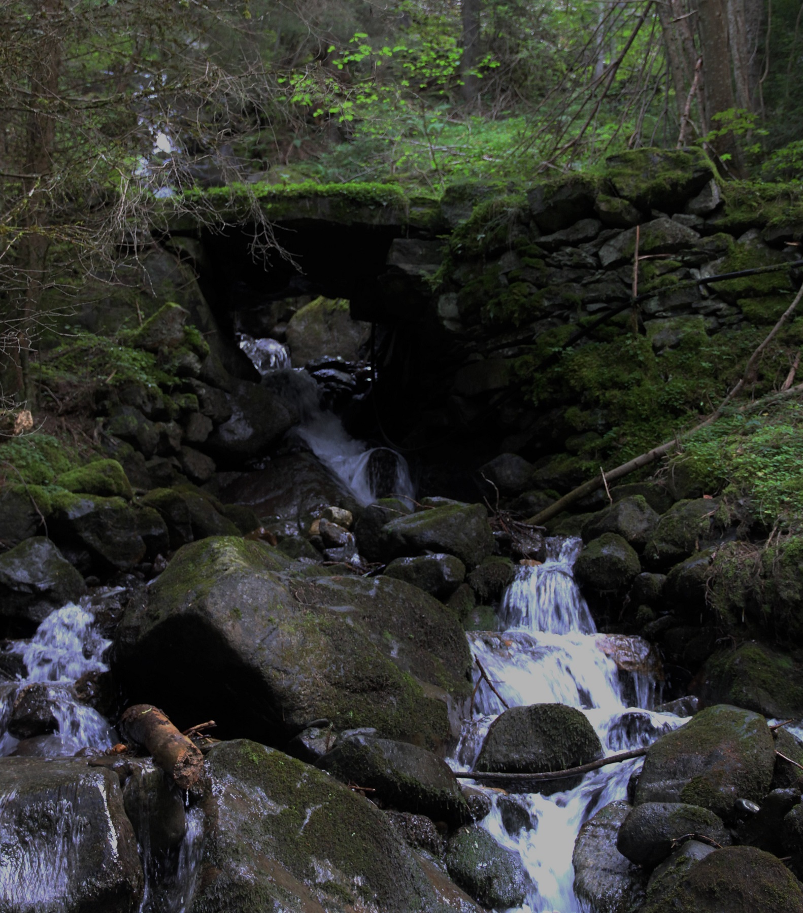 Ruisseau